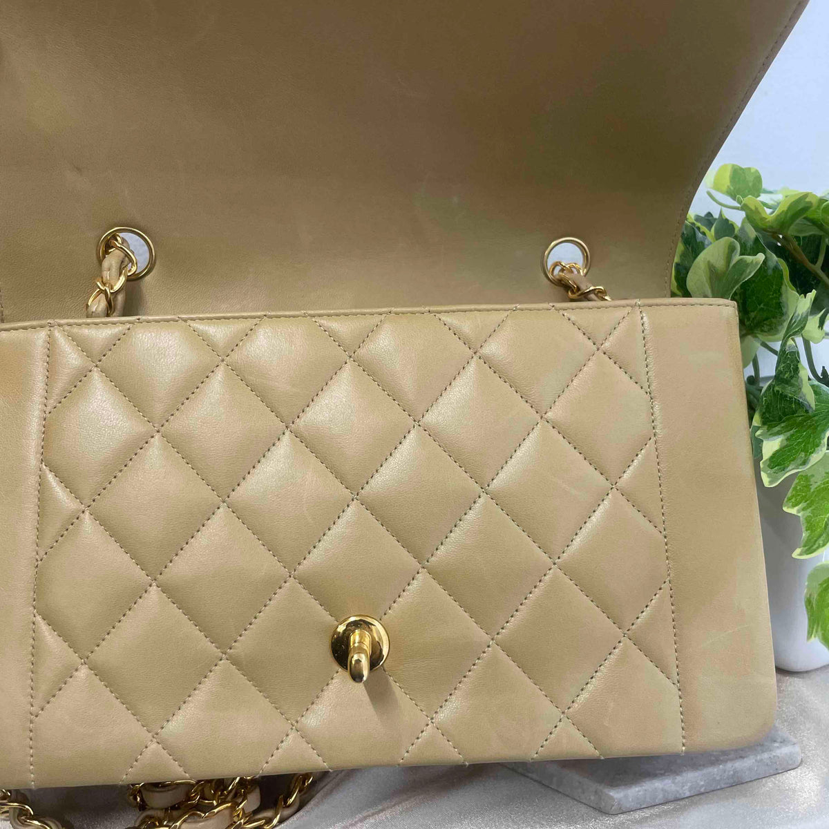 Chanel Diana Shoulder Bag - Tiana Bags